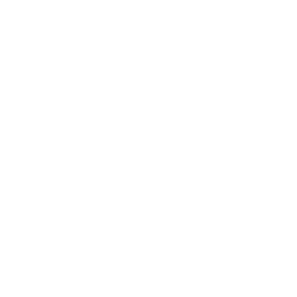 Polyalkylene glycol grease for guide pins and pistons PAG