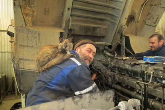 Grease of the clutch disc (DAF XF 430 truck)